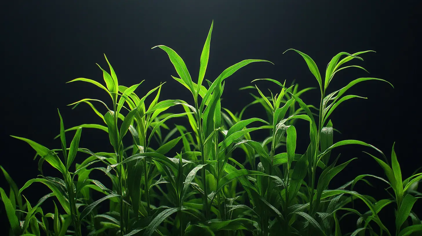 crabgrass weed removal near me.png