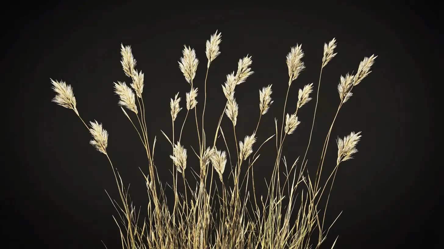 crowfoot grass weed removal near me.png