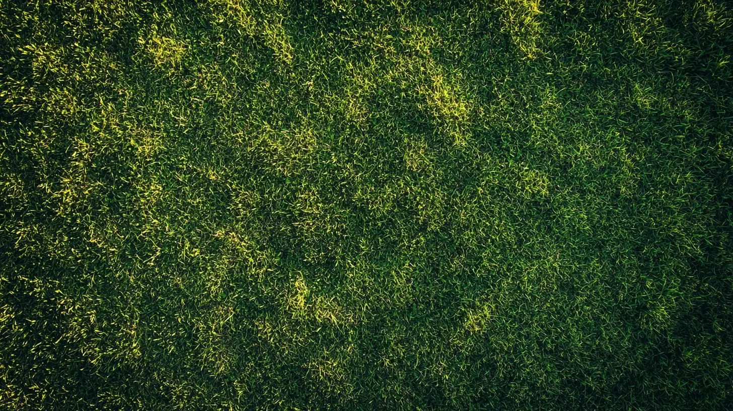 lawn aeration venice fl