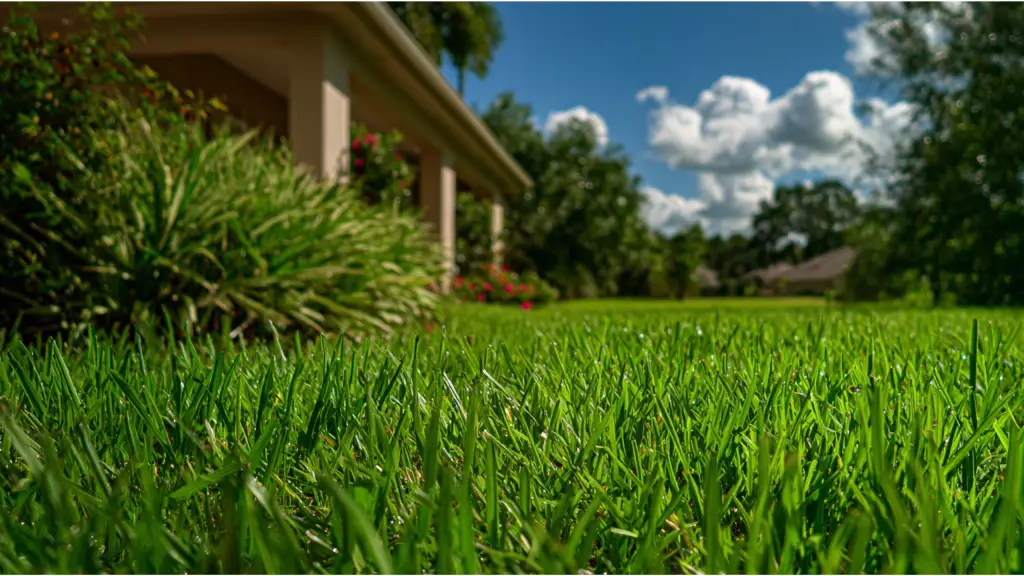 october lawn care bradenton fl