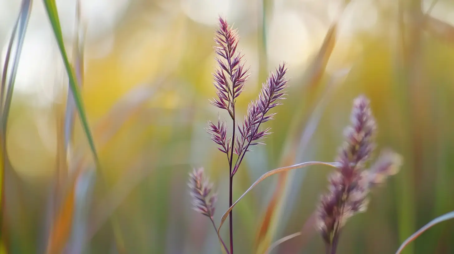 purple nutsedge cyperus weed removal near me.png